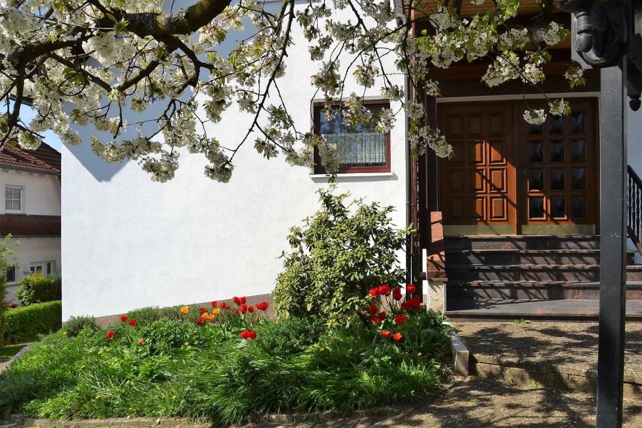 Fewo Ackermann Modautal Exterior foto
